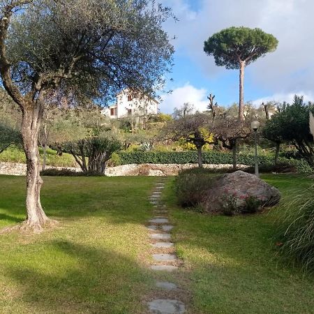 Appartement Casa Degli Ulivi à Lerici Extérieur photo